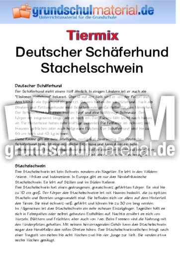 Deutscher Schäferhund - Stachelschwein.pdf